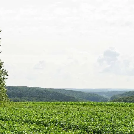 Du Peiffeschof, The Originals Relais ホテル アーロン