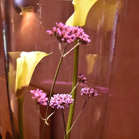 Du Peiffeschof, The Originals Relais アーロン