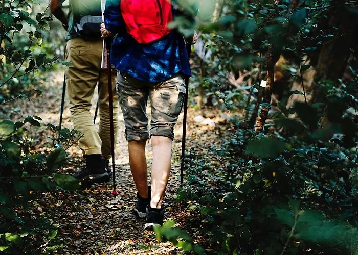 Du Peiffeschof, The Originals Relais 3*