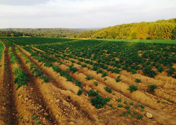 Du Peiffeschof, The Originals Relais Hotel
